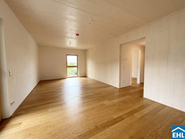 Wohnung mieten in Mödling, Niederösterreich