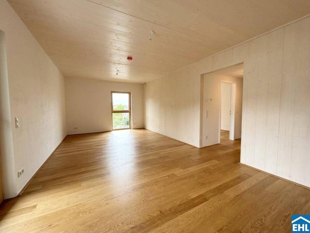 Apartment mieten in Mödling, Niederösterreich