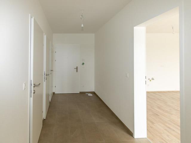 Wohnung mieten in Großstelzendorf, Göllersdorf