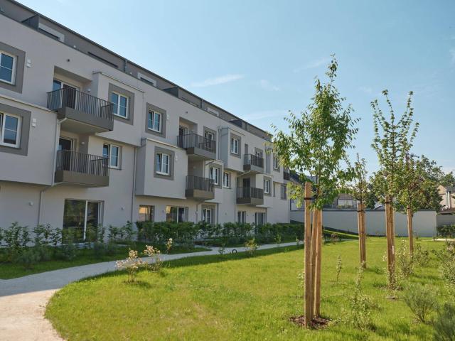 Apartment mieten in Wels, Oberösterreich