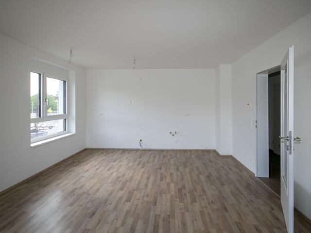 Wohnung mieten in Großstelzendorf, Göllersdorf