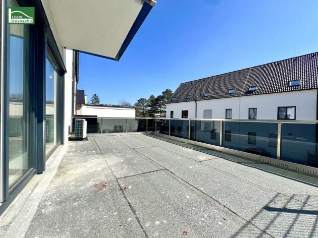 Haus kaufen in Mödling, Niederösterreich