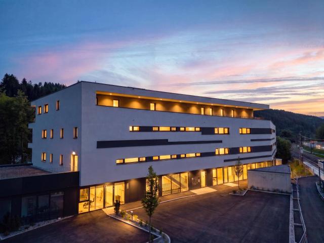 Apartment kaufen in Hopfgarten i.Br., Tirol