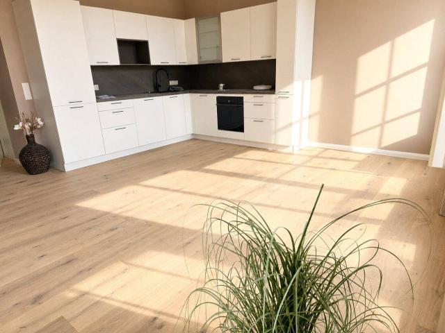 Apartment mieten in Schöffelstadt, Mödling