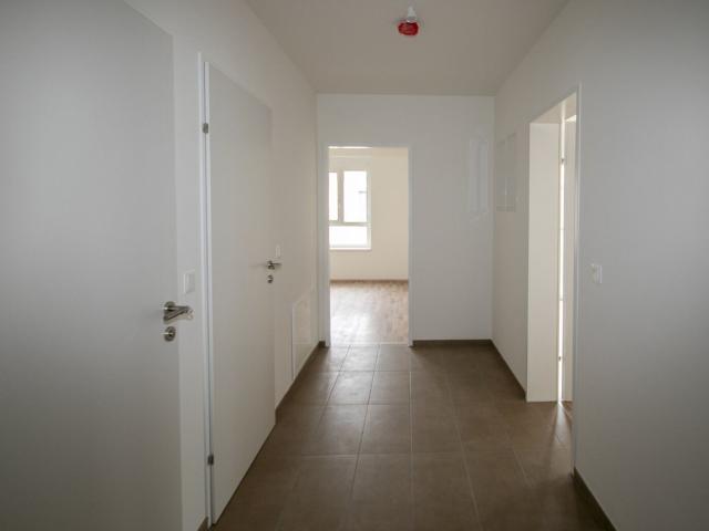 Wohnung mieten in Großstelzendorf, Göllersdorf