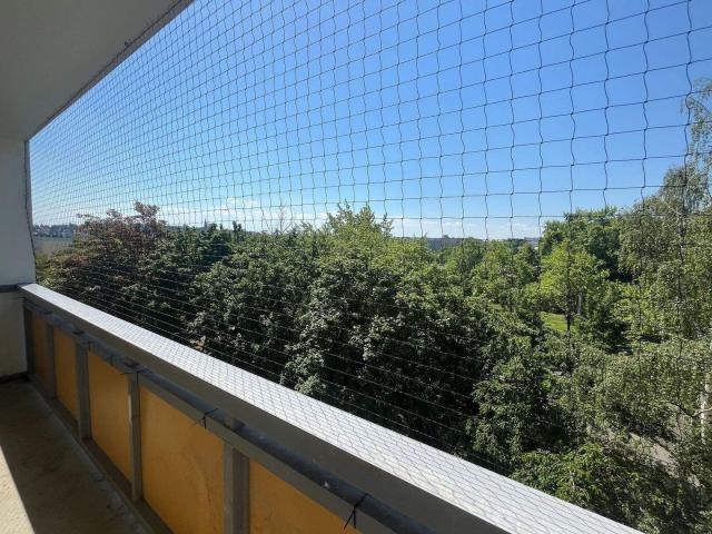 Apartment mieten in Neuplanitz, Zwickau