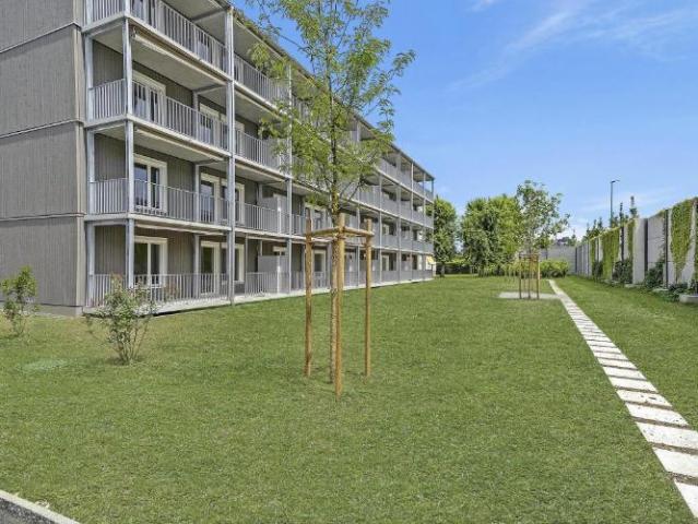 Apartment mieten in Lenzburg, Aargau