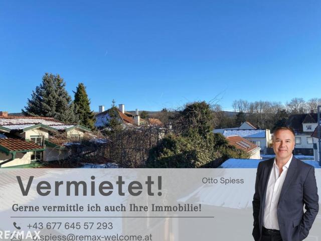 Wohnung mieten in Lanzenkirchen, Niederösterreich