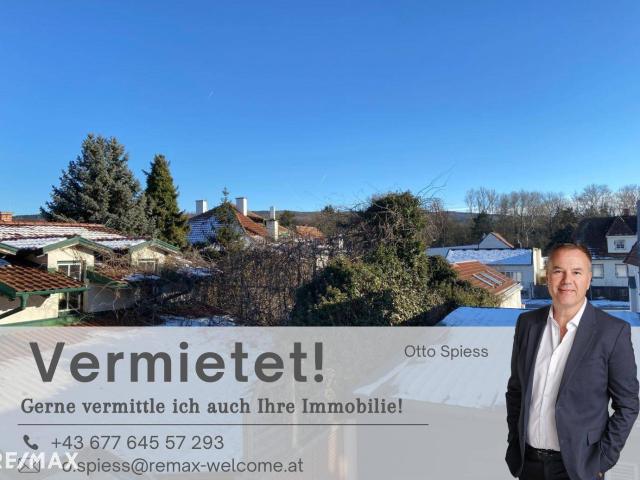 Apartment mieten in Lanzenkirchen, Niederösterreich