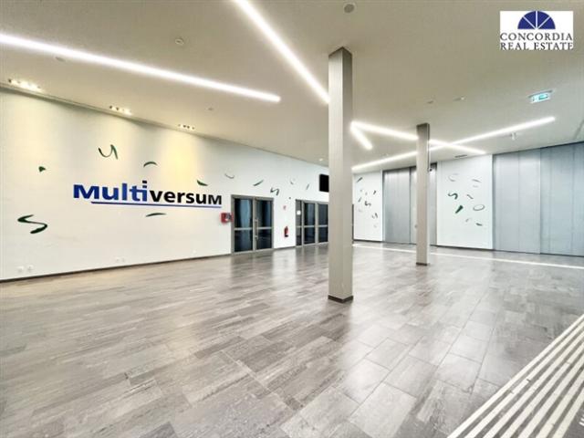 Gewerbe mieten in Schwechat, Niederösterreich