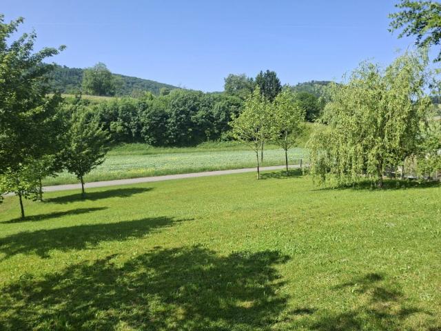 Grundstück kaufen in Mönthal, Aargau