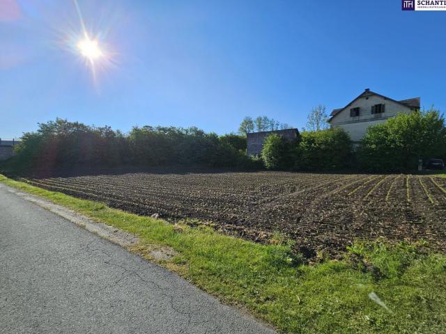 Grundstück kaufen in Stainz, Steiermark