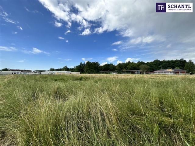 Grundstück kaufen in Unterpremstätten, Steiermark