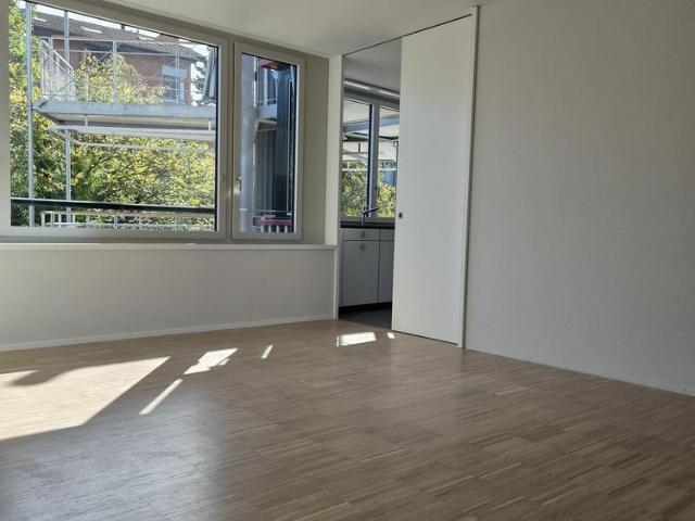 Apartment mieten in Maihof, Luzern