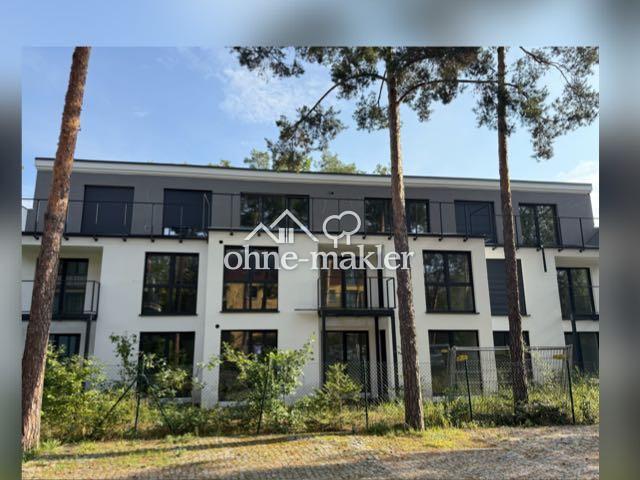Apartment mieten in Stern, Potsdam