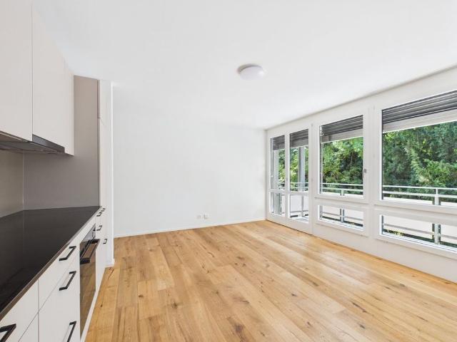 Apartment mieten in Schwarzenbach (SG), St. Gallen