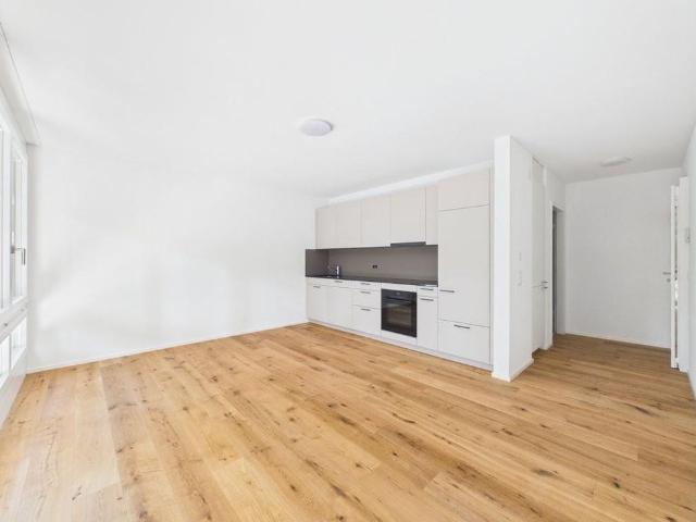 Apartment mieten in Linsebühl-Dreilinden, St. Gallen