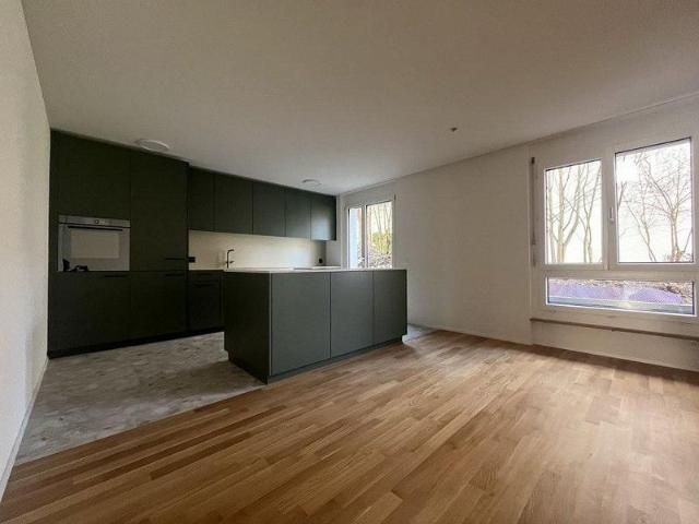 Apartment mieten in Baden, Aargau