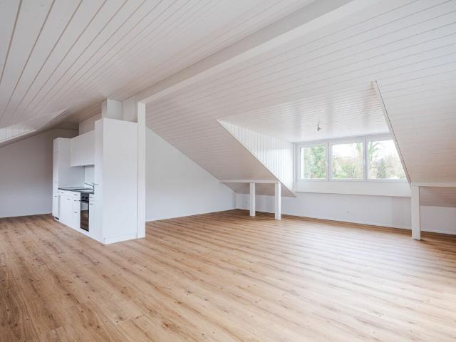 Dachwohnung mieten in Elsau, Zürich