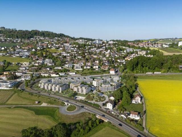 Apartment mieten in Heinrüti, Zufikon