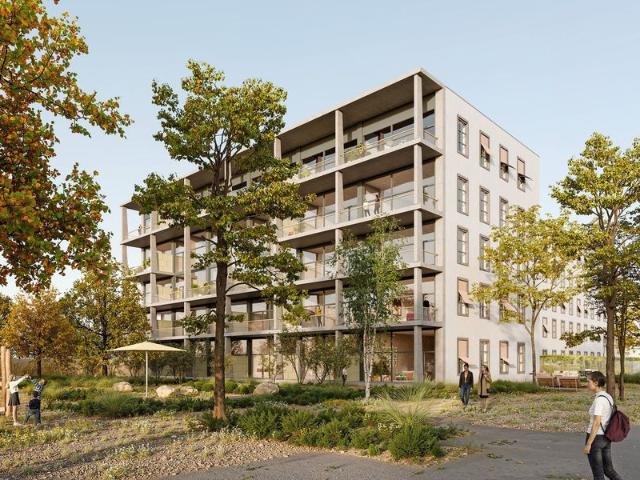 Apartment mieten in Bühler-Areal, Illnau-Effretikon