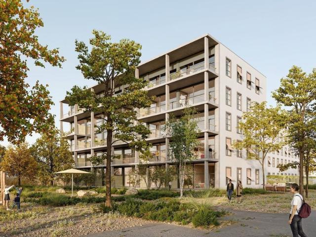 Apartment mieten in Bühler-Areal, Illnau-Effretikon