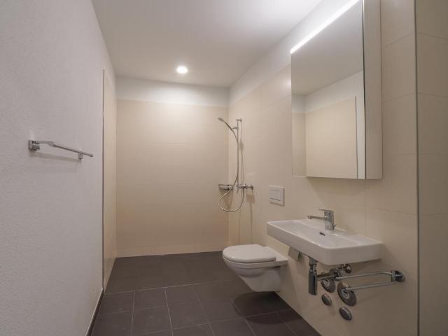 Apartment mieten in Liestal, Basel-Landschaft