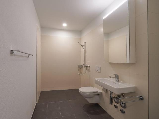 Apartment mieten in Liestal, Basel-Landschaft