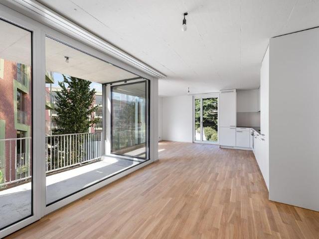 Apartment mieten in Tüfi, Adliswil