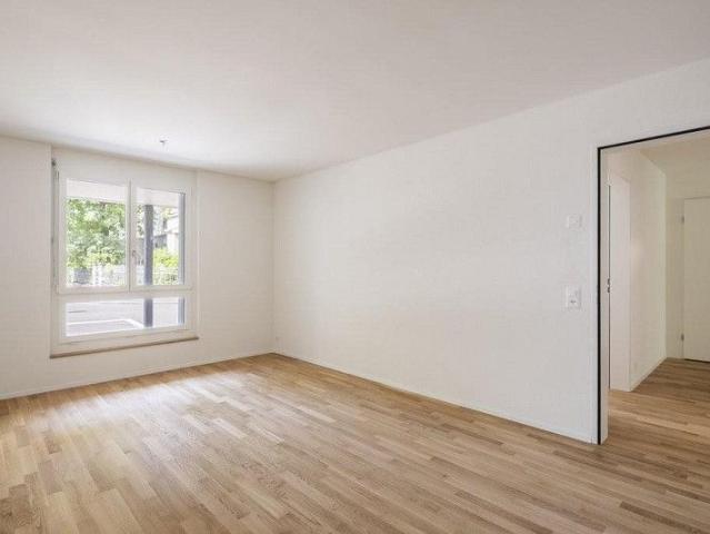 Apartment mieten in Allmend, Baden