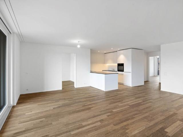 Apartment mieten in Reiden, Lü