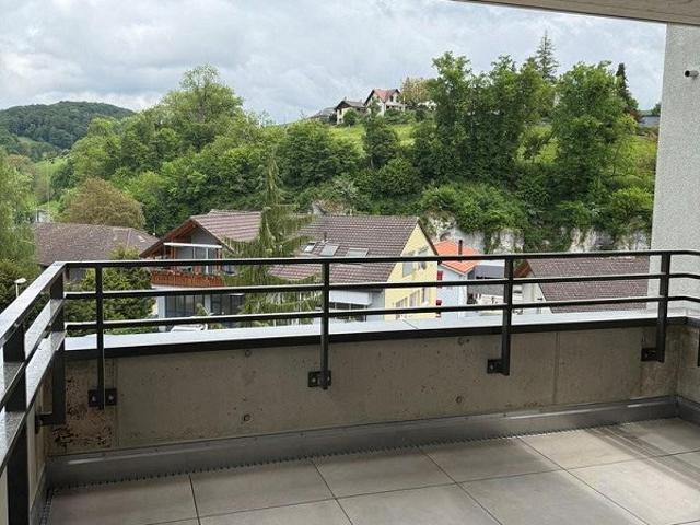 Apartment mieten in Niederdorf, Basel-Landschaft