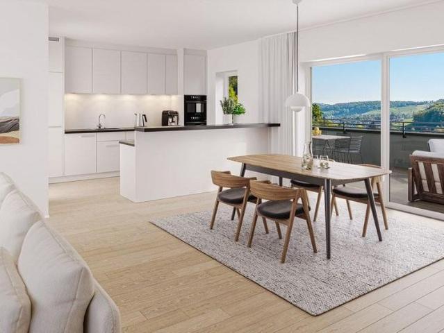 Apartment mieten in Niederdorf, Bezirk Waldenburg