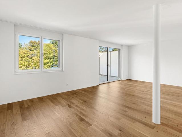 Apartment mieten in Blüemliquartier, Dietikon