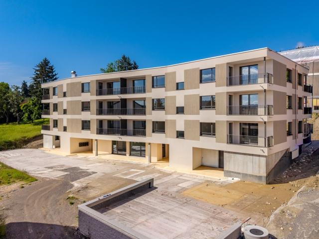 Apartment mieten in Reinach (AG), Aargau