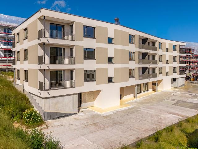 Apartment mieten in Reinach (AG), Aargau