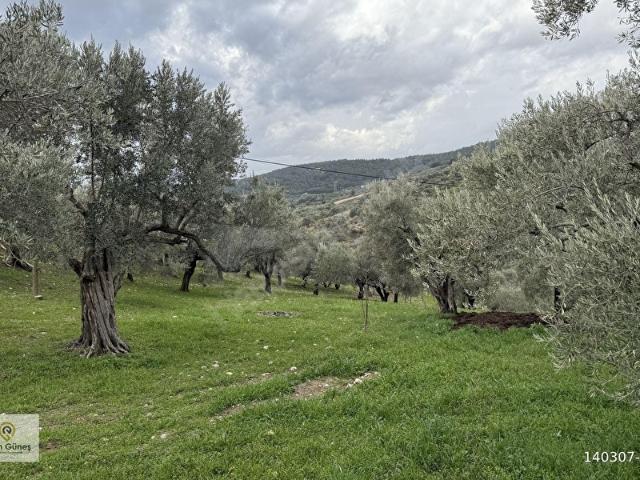 Torbali, İzmir içerisinde satılık Arsa