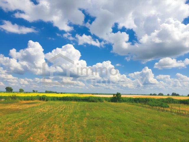 Landwirtschaft kaufen in Pama, Burgenland