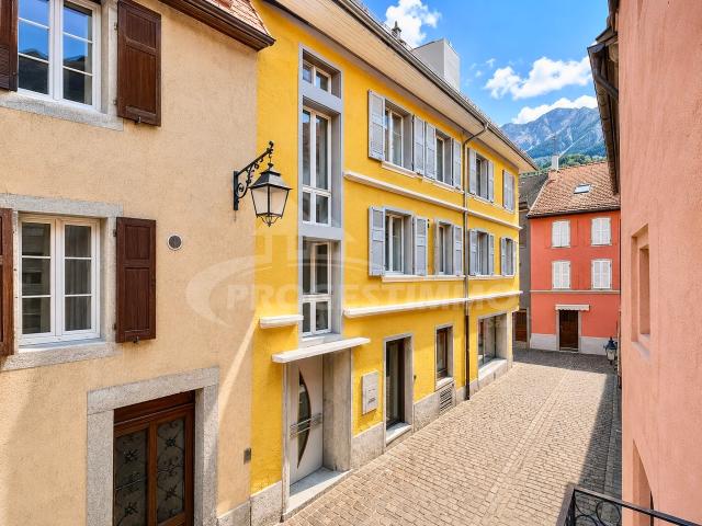 Haus kaufen in Saint-Maurice, Wallis