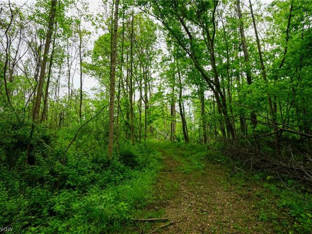 Land for sale in Stockport, Ohio