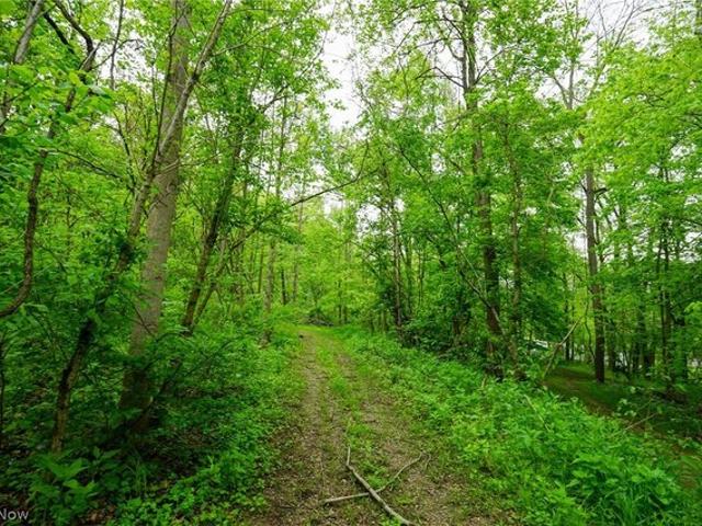 Farm for sale in Stockport, Ohio