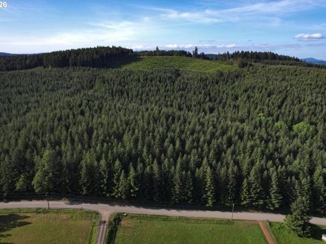 Land for sale in Philomath, Benton County