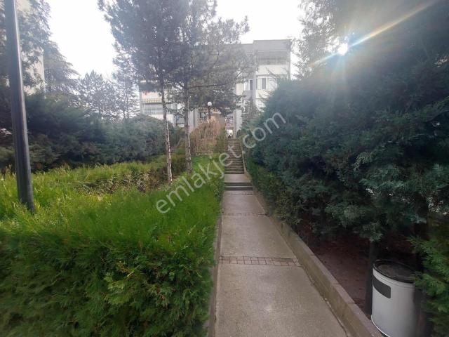 Etimesgut, Ankara içerisinde kiralık mülk