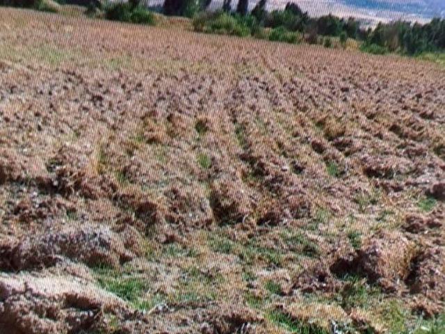 Erzincan Merkez, Erzincan içerisinde satılık Arsa