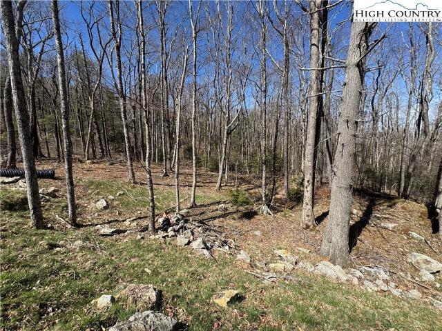 Land for sale in Avery, North Carolina