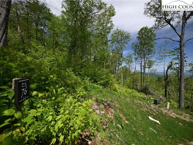 Land for sale in Avery, North Carolina