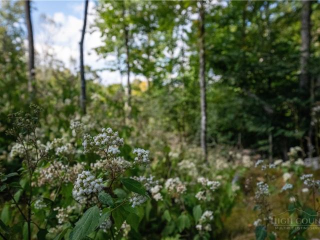 Land for sale in Banner Elk, Avery County