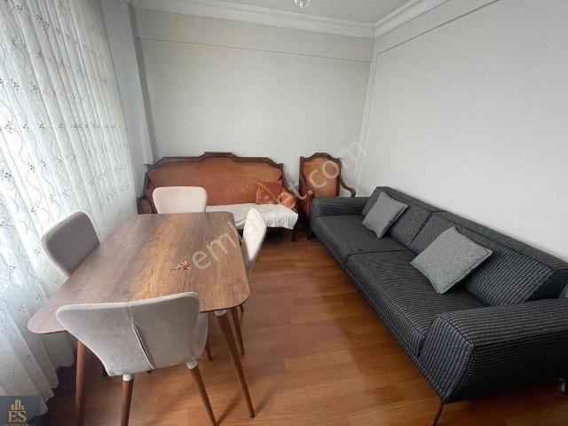İstanbul Merkez, İstanbul içerisinde kiralık mülk