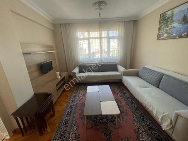 İstanbul Merkez, İstanbul içerisinde kiralık mülk
