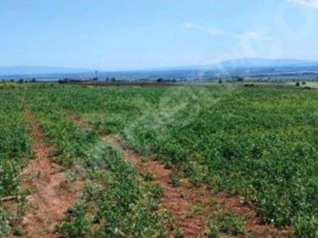 Karacabey, Bursa içerisinde satılık Arsa